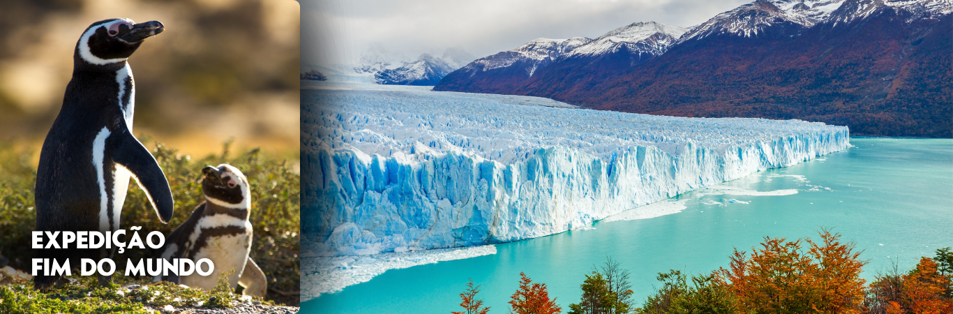 Expedição Fim do Mundo - Ushuaia - El Calafate - El Chalten - Bariloche - Argentina